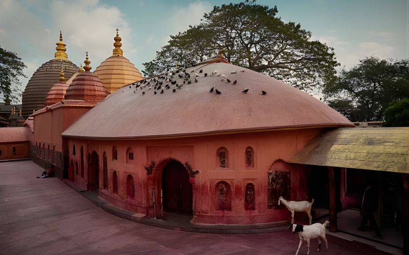 Spiritual Sojourn: Guwahati Temple Trail